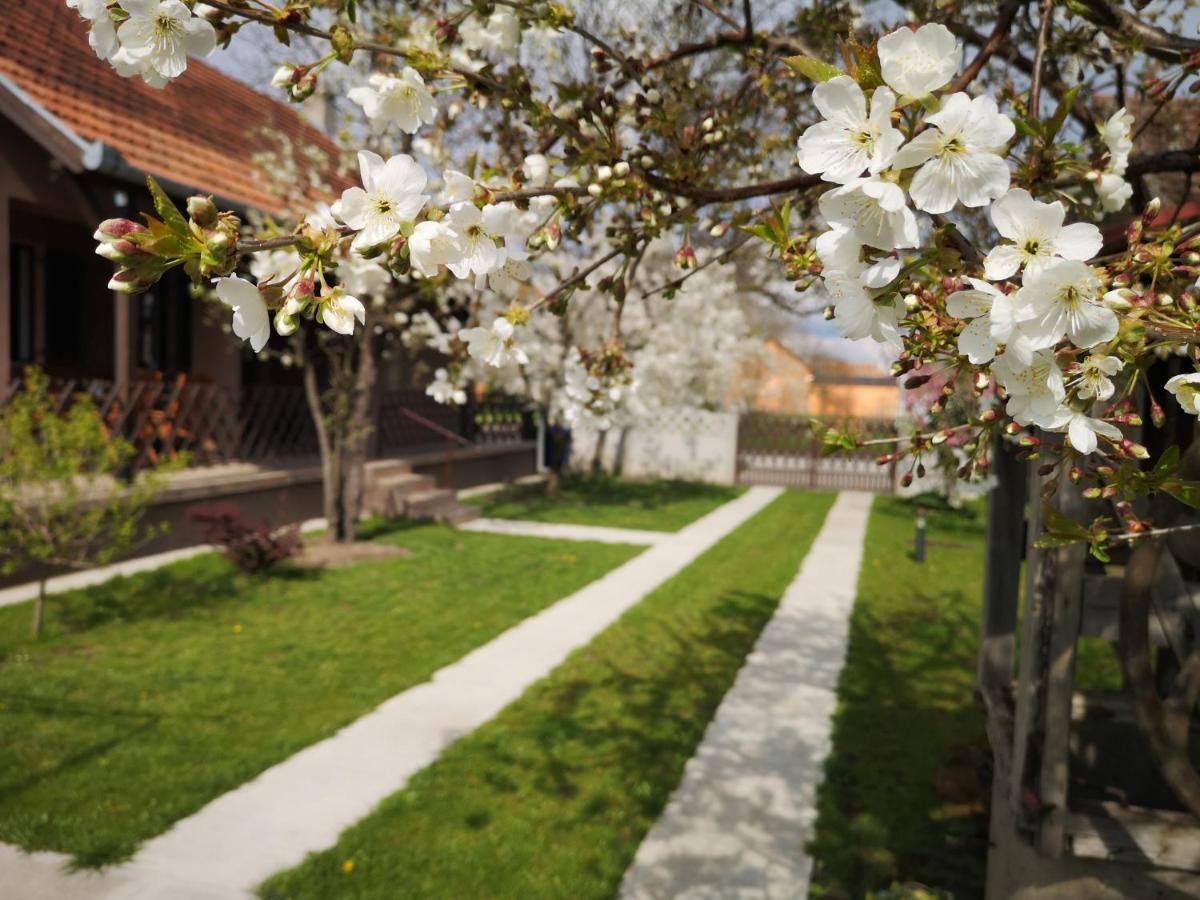 Turul -Kuca Za Odmor- Appartement Korod Buitenkant foto