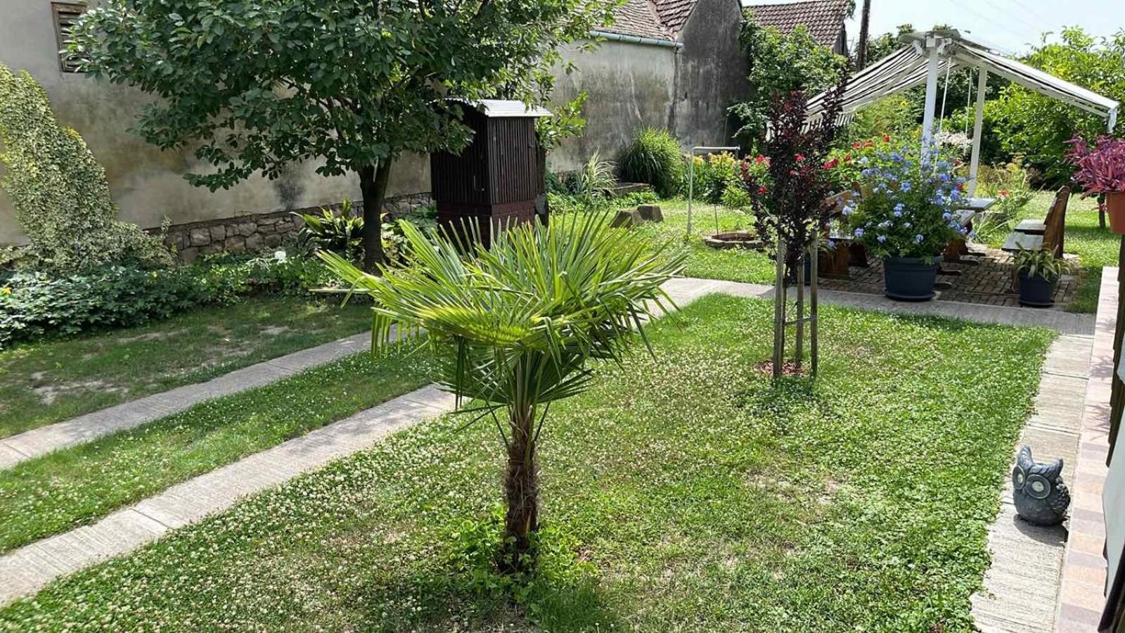 Turul -Kuca Za Odmor- Appartement Korod Buitenkant foto